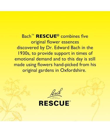 Rescue Remedy Compte-gouttes 20 ml (menthe et pomme) Confort et rassurance soutien naturel du bien- tre motionnel formule v g talienne aux essences florales voyage examens - Buy Online on GoSupps.com