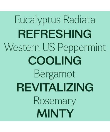 Buy Plant Therapy Eucalyptus Mint Essential Oil Blend 10 mL - 100% Pure Invigorating Aromatherapy for Diffusers & Home Use - Buy Online on GoSupps.com