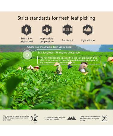 WOOXGEHM Chinese Jasmine Flower Green Tea 150g529oz Jasmine Tea Clear and Long Lasting Rich Fragrance Mao Feng New Tea Gifts for Friends Family Colleagues and Parties Teahouse Tasting - Buy Online on GoSupps.com