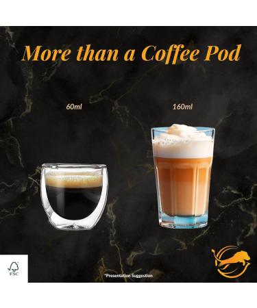  FROL Explorer Ltd Protein Macchiato (3x7) & Creatine Espresso (3x7) Pack Protein and Espresso Coffee Improving Performance for Workouts (6 Boxes) - Buy Online on GoSupps.com