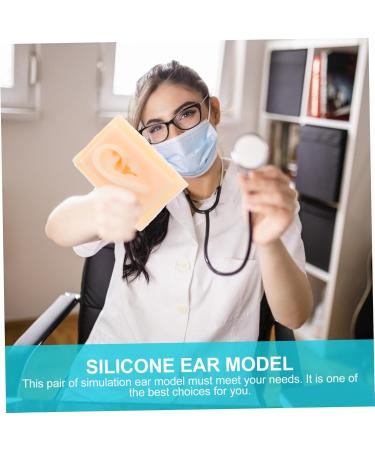 Buy FRCOLOR Ear Model Hearing Amplifiers - Portable Anatomy Display for Teaching & Presentations - Perfect Science Tool for Education - Buy Online on GoSupps.com