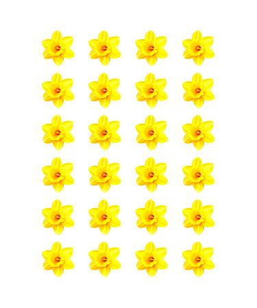 24 x Daffodil Flower Edible Wafer or Icing Cupcake Toppers Fun Spring Party Cake Decorations Perfect For Brownies Cookies Muffins & More! (Premium Icing Sheet)