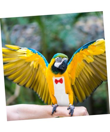PopetPop Flying Bird Diapers - Protective Parrot & Pigeon Outfit | Sittich Diapers for Birds - 20x11cm Neoprene Suit - Buy Online on GoSupps.com