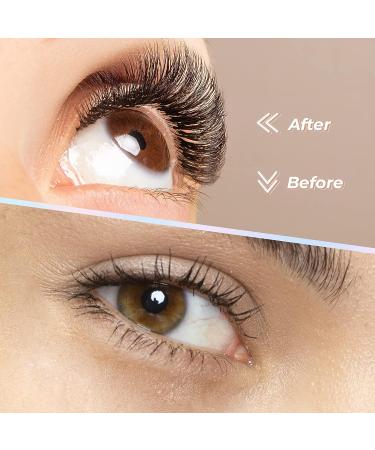 MAEXUS 240 Clusters 40D C Curl Mega Volume Wispy Eyelash Extensions DIY Kit - 0.07D 9-16mm Mix - Buy Online on GoSupps.com