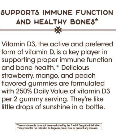 Nature's Way Vitamin D3 Gummy & Sambucus Adult Gummy Bundle - Buy Online on GoSupps.com
