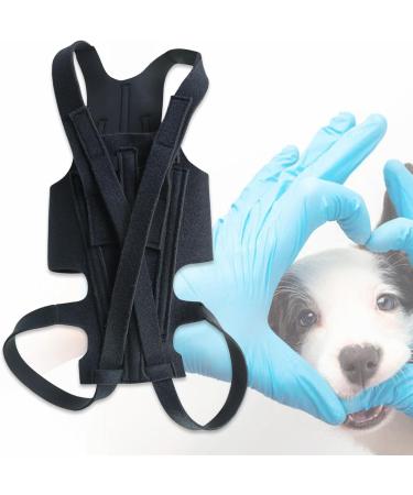 Dog Back Bandage for Arthritis & IVDD - Surgical Recovery & Rehabilitation Support | Prevent Back Disease - Buy Online on GoSupps.com