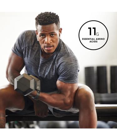 Optimum Nutrition Platinum Rebuild - Dark Chocolate Protein Powder with Creatine Monohydrate | 20 Servings | Premium Post-Workout Supplement for Muscle Recovery - Worldwide Shipping - Buy Online on GoSupps.com
