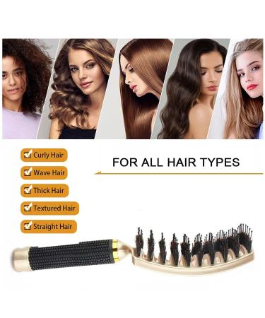 Hairstreaq Detangling Brush - Boar Bristles - Curved Vented Design - Wet & Dry Hair - Gold Purple | For Women Men Kids - Buy Online on GoSupps.com