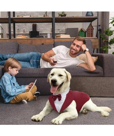 Buy Kuoser Dog Smoking Suit & Bandana Set - Stylish Pet Formal Clothing for Weddings Halloween & Birthdays - S-XXL (Back Length: 29 cm) - Dark Red - Buy Online on GoSupps.com