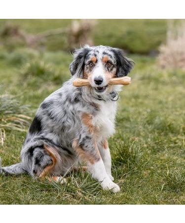 Nobby Chewing Bones - Pressed Bag of 50 Pieces (5.0 cm 10g) | Premium Dog Treats for Healthy Chewing | International Shipping Available - Buy Online on GoSupps.com