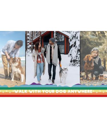 Loutep Rainbow Training Leash for Dogs - Extra Long Nylon Leash (3m to 30m) with Padded Handle for Large Medium & Small Puppies - Durable & Strong - Buy Online on GoSupps.com