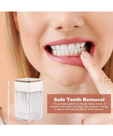 Premium Bendable Bristle Toothpicks - Dual-End Tooth Dotcher in Clear Box | Perfect for Banquets & Everyday Use - Buy Online on GoSupps.com