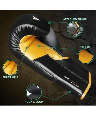 Buy Mytra Fusion Boxing Gloves - 10oz 12oz 14oz 16oz & 18oz MMA Training Punching Sparring & Kickboxing Gloves for Men & Women - Black/Gold - Buy Online on GoSupps.com