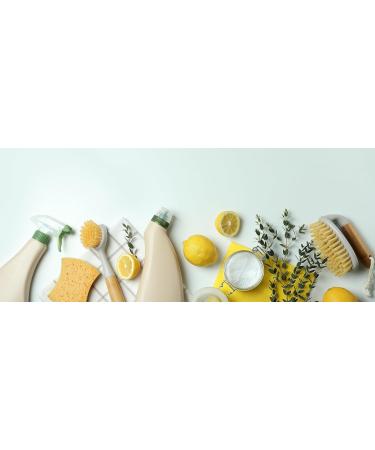 Buy JKR Spices 500G Citric Acid Powder E330 - Food Quality Baking & Cooking Preservative All-Purpose Cleaner | International Shipping Available - Buy Online on GoSupps.com