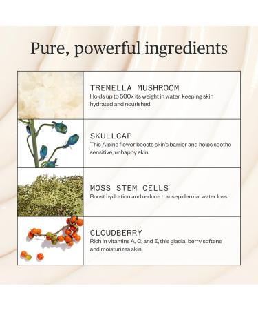 Ursa Major Alpine Rich Cream - Deeply Hydrating Natural Face Lotion | Vegan Non-Toxic Cruelty-Free | Supports Skin Barrier & Targets Fine Lines | 1.69 oz - Buy Online on GoSupps.com