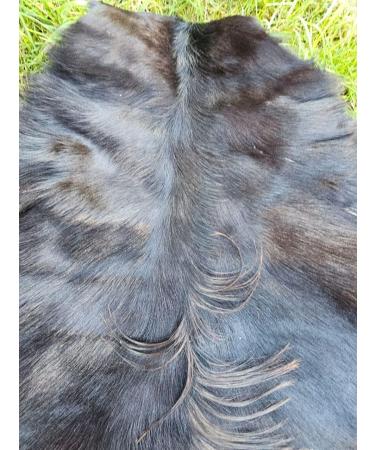 Provellus Goatskins Goat Fur No Odour Top Tanning Natural Bargain (Dark Pack of 5 30-50 cm) - Buy Online on GoSupps.com