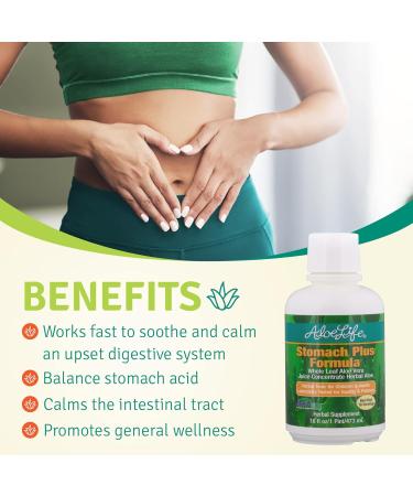 Aloe Life - Stomach Plus Formula Fast-Acting Tonic for Children Adults & Seniors Supports Healthy Digestion & Helps to Soothe Gas Bloating & Nausea Aloe Vera Concentrate Gluten-Free (16 oz) - Buy Online on GoSupps.com