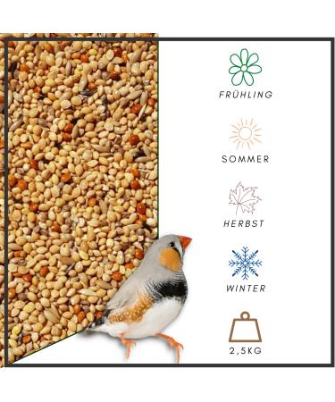 Supravit Exotic Feed 2.5kg | High-Quality Mixed Feed for Exotic Finches | Boosts Feather Health & Mating Readiness - Buy Online on GoSupps.com
