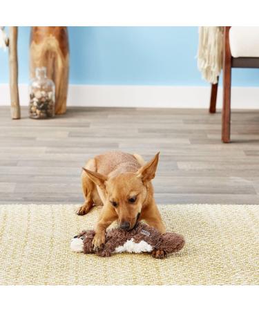 KONG Scrunch Knots Squirrel Toy for Medium/Large Dogs - Minimal Stuffing, Internal Knotted Ropes - Buy Online on GoSupps.com