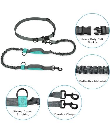 Nova Tree Hands Free Dog Leash with Adjustable Waist Strap-Dual Bungee & Handle Design - Perfect for Running Jogging Walking(Green) - Buy Online on GoSupps.com