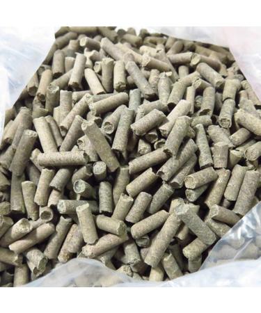 Crystal Shrimp Food & Aquarium Pellets - For Small Fish - Natural Food - Vitamin Food - Buy Online on GoSupps.com