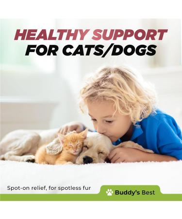BUDDY'S BEST Ringworm Relief Spot-On Treatment for Dogs & Cats: Natural Fast-Acting Formula with Jojoba & Neem Oil Soothes & Heals Skin Easy Application 50ml - Buy Online on GoSupps.com