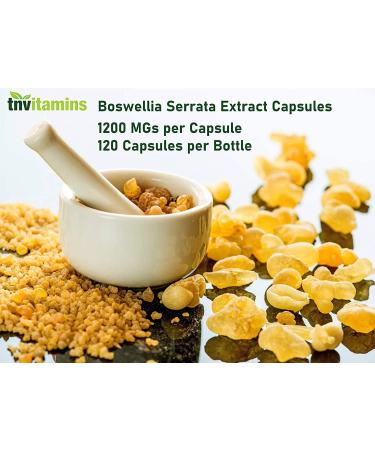 TNVitamins Boswellia Serrata Extract Capsules | 1200mg (120ct) | Joint Support Supplement with Ayurvedic Herb Indian Olibanum - Buy Online on GoSupps.com
