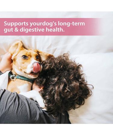 Premium Dog Probiotics 5BIL CFUs | 12 Strains Good Bacteria for Gut & Skin Health | Immune Support & Itch Relief | Salmon Flavored Chews for All Breeds & Ages - Buy Online on GoSupps.com