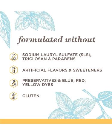 Burt's Bees Extra White Toothpaste Fluoride Toothpaste Natural Flavor Mountain Mint 4.7 oz Pack of 3 - Buy Online on GoSupps.com