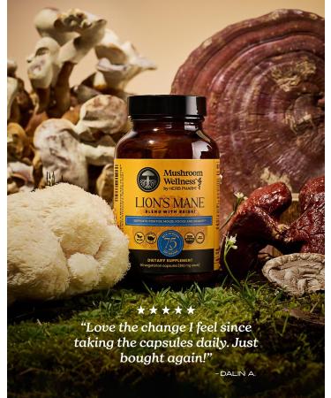 Mushroom Wellness Lion s Mane Blend with Reishi: Organic Lion's Mane & Reishi Mushroom Capsules, Mushroom Powder Supplement, Supports Cognitive Health, Memory, and Mental Focus, 90 Vegan Capsules - Buy Online on GoSupps.com