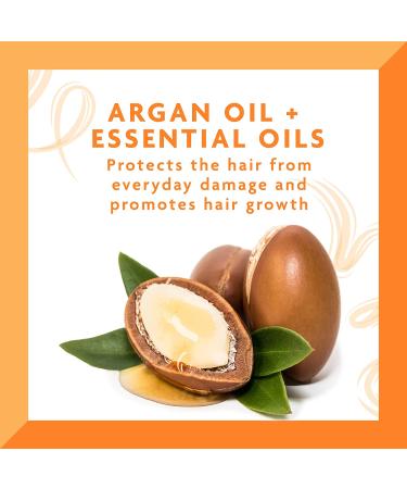 Cantu Leave-In Conditioning Repair Cream with Argan Oil 16 oz - Pack of 2 | 32 Ounce Total - Buy Online on GoSupps.com