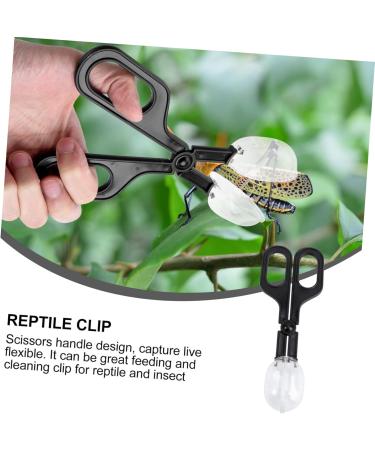 BESPORTBLE 6 Pcs Reptile Feeding Clip Chameleon Habitat Kit Cricke Capturer Gecko Cage Cleaner Reptiles Mx2pcs Blackx2pcs - Buy Online on GoSupps.com