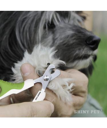 Professional Pet Nail Clippers for Small Animals - Best Cat & Dog Claw Trimmer - Home Grooming Kit with Ebook Guide - Buy Online on GoSupps.com