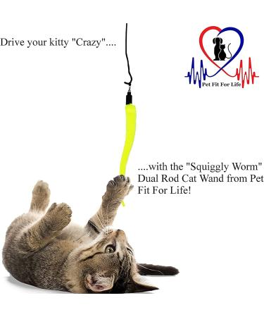 Pet Fit For Life Cat Toy - 5 Piece Worms Teaser and Exerciser for Interactive Play with Cat and Kitten - Buy Online on GoSupps.com