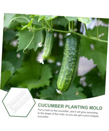 Milisten 9 Pcs Vegetable Shaping Mold Watermelon Strawberry - Buy Online on GoSupps.com