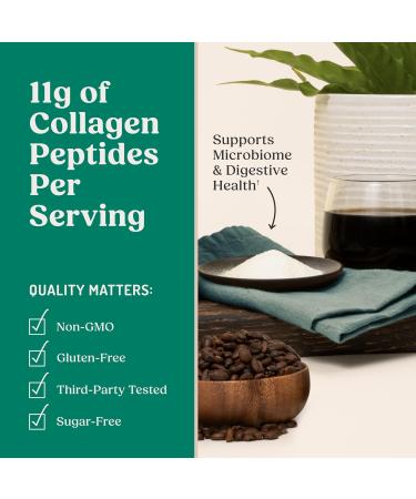 Bulletproof Unflavored Gut Health Collagen Protein 14 Ounces 10g Grass-Fed Collagen Peptides for Gut Skin Bone and Joint Support Packaging May Vary Gut Health - Unflavored 14 Ounce (Pack of 1) - Buy Online on GoSupps.com