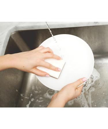Full Circle Walnut Shell Non-Scratch Scrubber Sponge - Pack of 3 - Buy Online on GoSupps.com