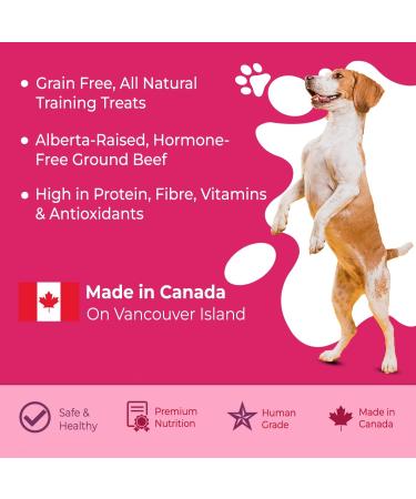 Vitality Dog Pacific Salmon with Carrots (2-Pack) Premium Baked Dog Treats - Training Treats for Dogs Pet Treats Dog Snacks - Made in Canada Grain Free Human Grade 400g / 14.1oz Pacific Salmon with Carrots 400 g (Pack of 2) - Buy Online on GoSupps.com