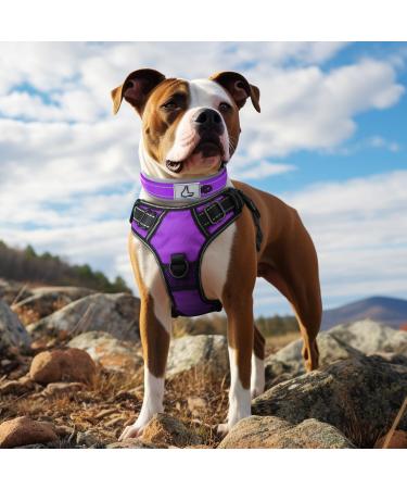 Joytale XL Dog Collar - Softly Padded Neoprene & Reflective Nylon for Extra Large Dogs - Purple 1 Pack - Buy Online on GoSupps.com
