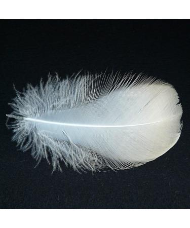 HaiMay 450 White Feathers for Craft Wedding & Party Decor 3-5 inches - Home Decorations - Buy Online on GoSupps.com