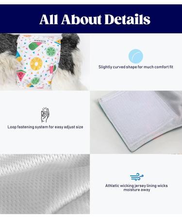 Shop Micoooyo Washable Abdominal Bandage for Men | Reusable Dog Diapers (3-Pack) | Adjustable Suction-Able Wraps for Small Dogs (22.8-33cm Waist) - Buy Online on GoSupps.com