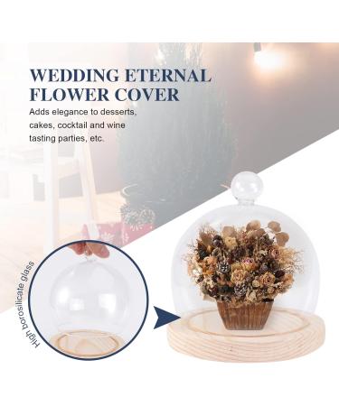 NOLITOY 1 Set Glass Cover High Borosilicate Glass Arch Dust Cover Round 12cm - Buy Online on GoSupps.com