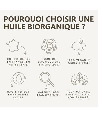 Apricot Kernel Oil 100% Organic Pure Natural and Cold Pressed 100 ml Care for Hair Body Skin - Buy Online on GoSupps.com