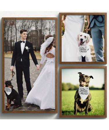 Engagement Gift: 'My Humans are Getting Married' Dog Bandana & Wedding Photo Prop in Black - Buy Online on GoSupps.com
