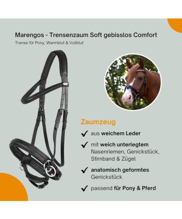 Marengos Soft Bitless Leather Bridle & Reins for Warmbloods | Anatomically Shaped Neck Piece | Premium Horse Accessories in Black - Buy Online on GoSupps.com
