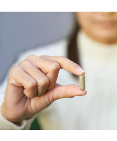 Empty 00 Vegan HPMC Capsules - 120 Count - Halal & Kosher - Easy Snap DIY Supplement Pill Caps for Capsule Filling - Buy Online on GoSupps.com