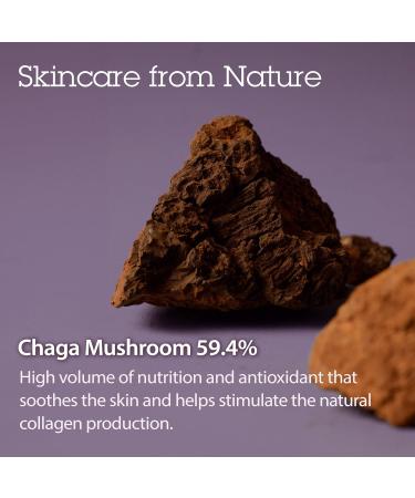 BLITHE Pressed Serum Chaga Mushroom - Advanced Skin Tightening Cream for Natural Lift - 0.91 oz - Buy Online on GoSupps.com