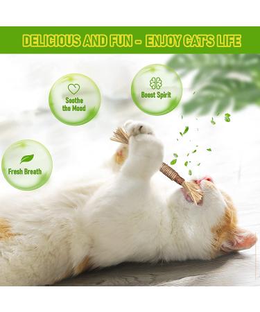 BAWAN Catnip & Silvervine Toys for Cats | Interactive Teething Chew Toys for Indoor Cats | Dental Toy for Aggressive Chewers | 3PCS - Buy Online on GoSupps.com