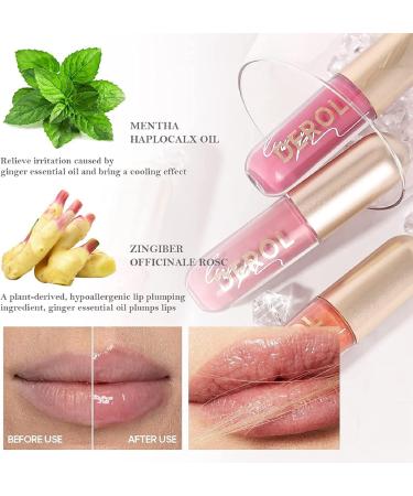 Ginger Lip Plumper Tinted Lip Balm - Waterproof Long Lasting Lip Gloss (#04) - Buy Online on GoSupps.com