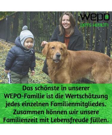 WEPO 3-6-9 Barf Dog Oil - Premium 100% Natural Omega 3 6 9 for Fur Skin & Hair - 500ml International Shipping - Buy Online on GoSupps.com